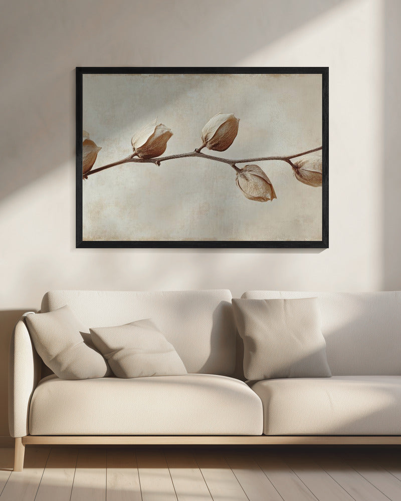 Verblasste Eleganz | Leinwand