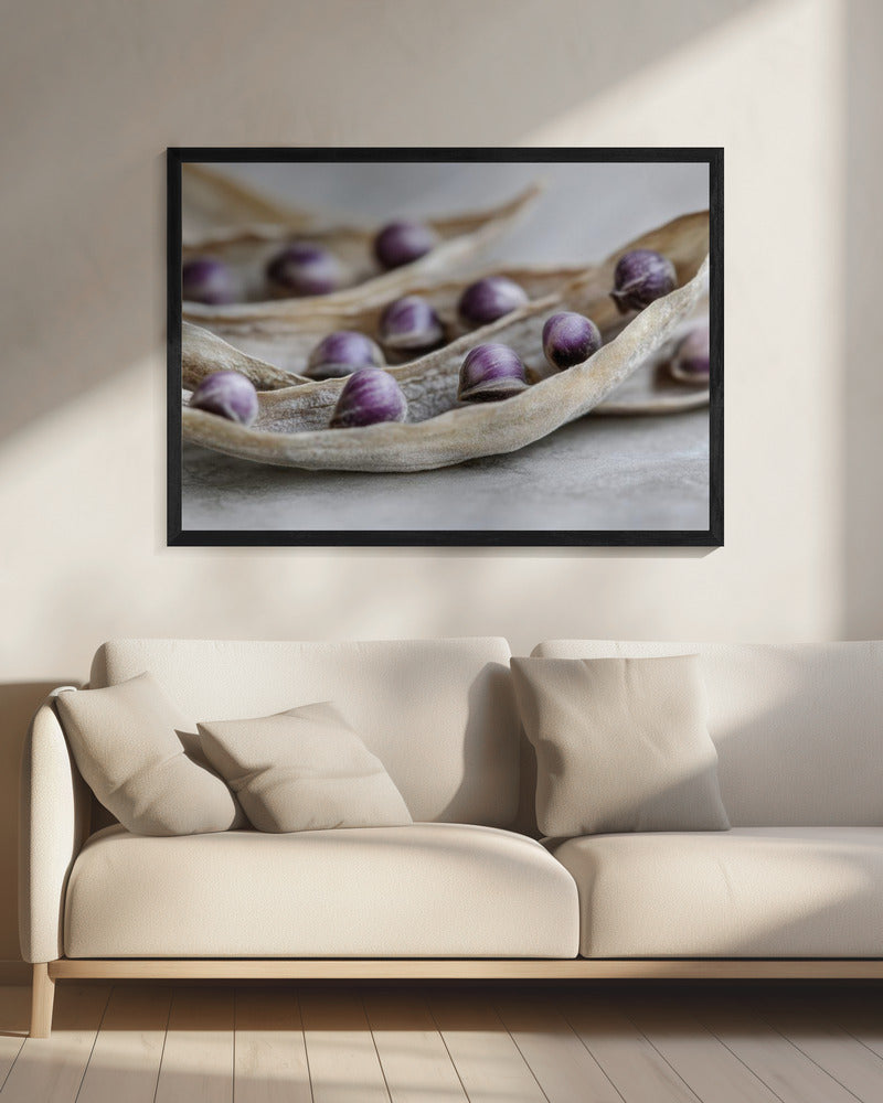 Lila Samensymphonie | Leinwand