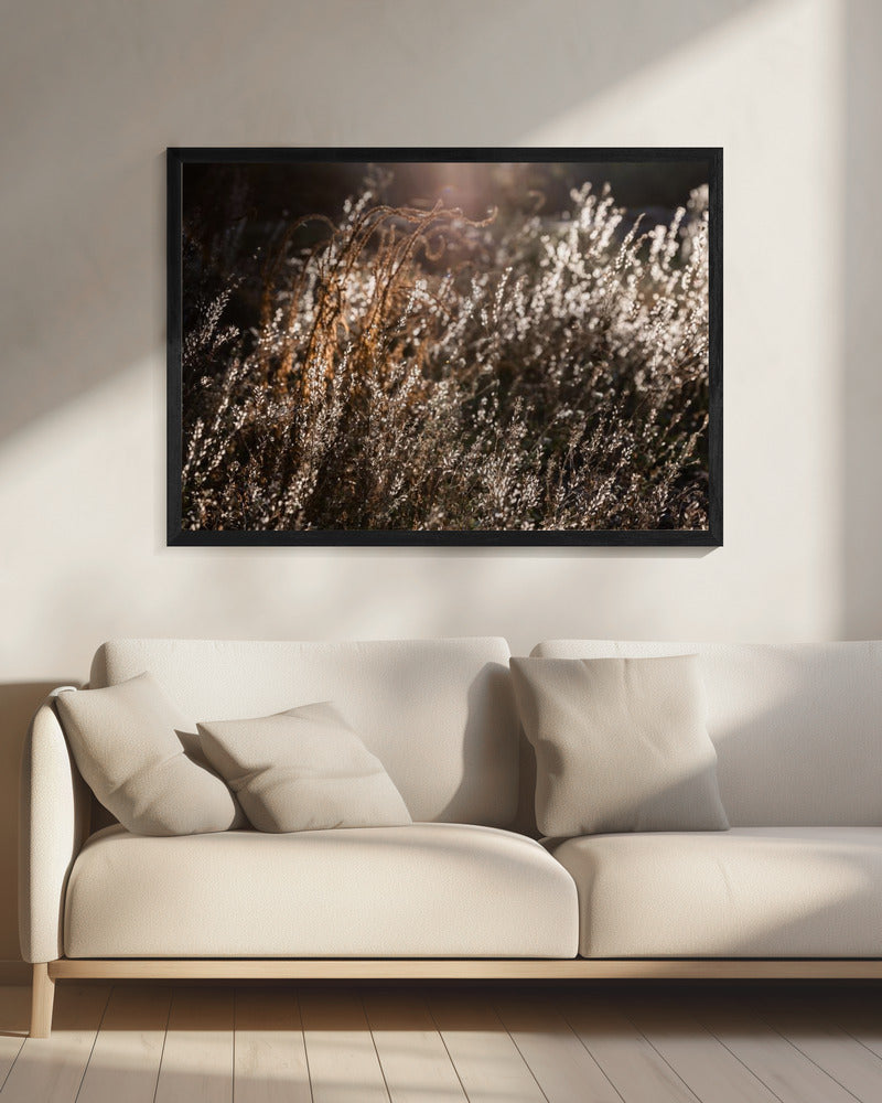 Warmes Winterlicht 4 | Leinwand