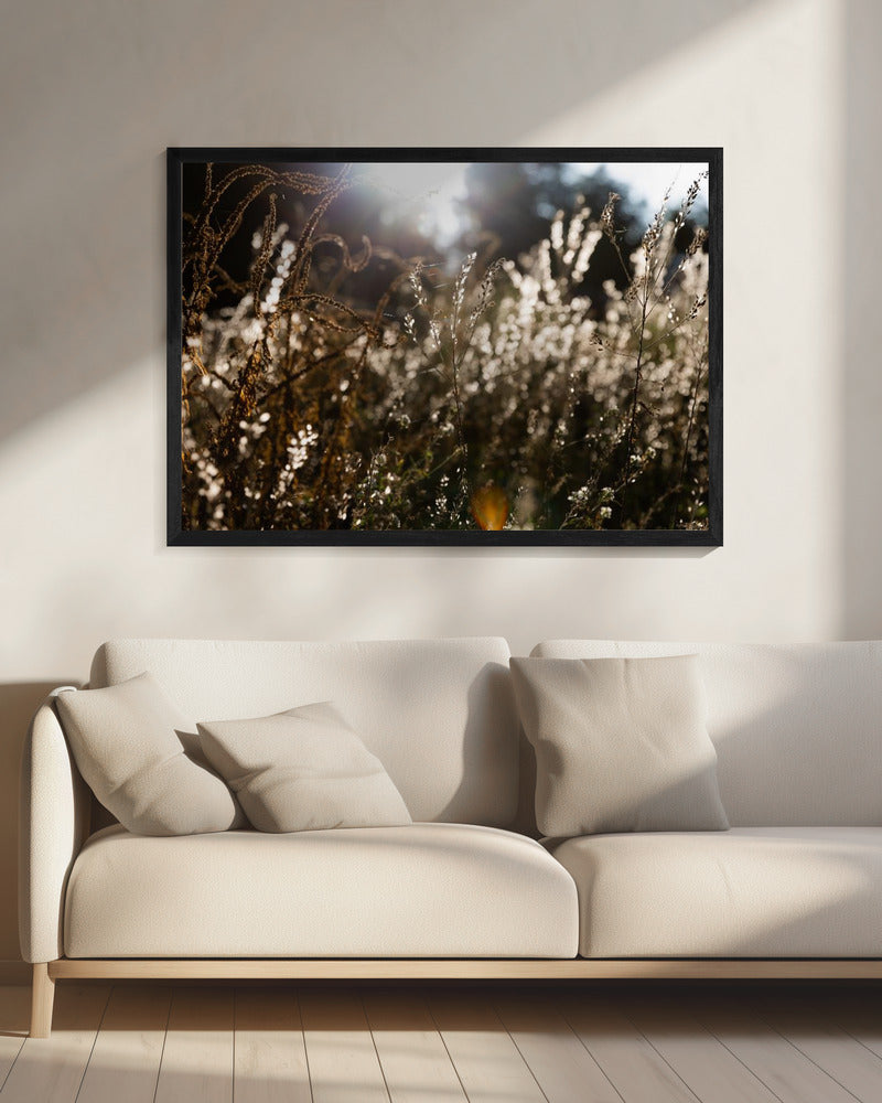 Warmes Winterlicht 7 | Leinwand