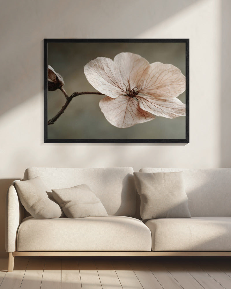 Zarte Blüte | Leinwand