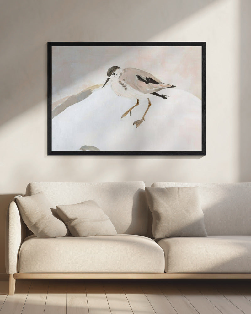 Süßer Watvogel | Leinwand