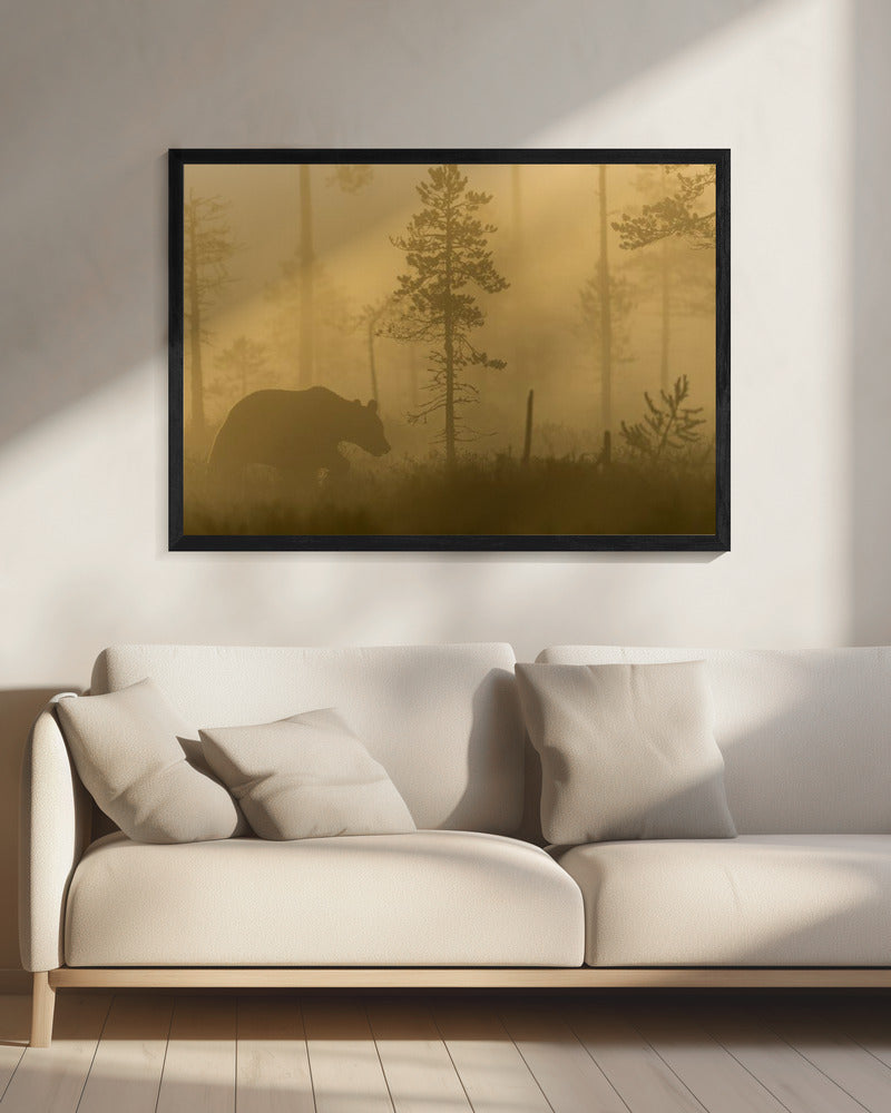 Morgennebel | Leinwand