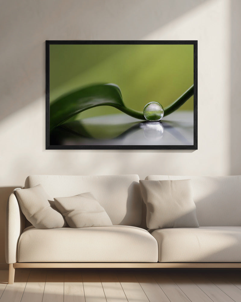 Grüne Harmonie | Leinwand