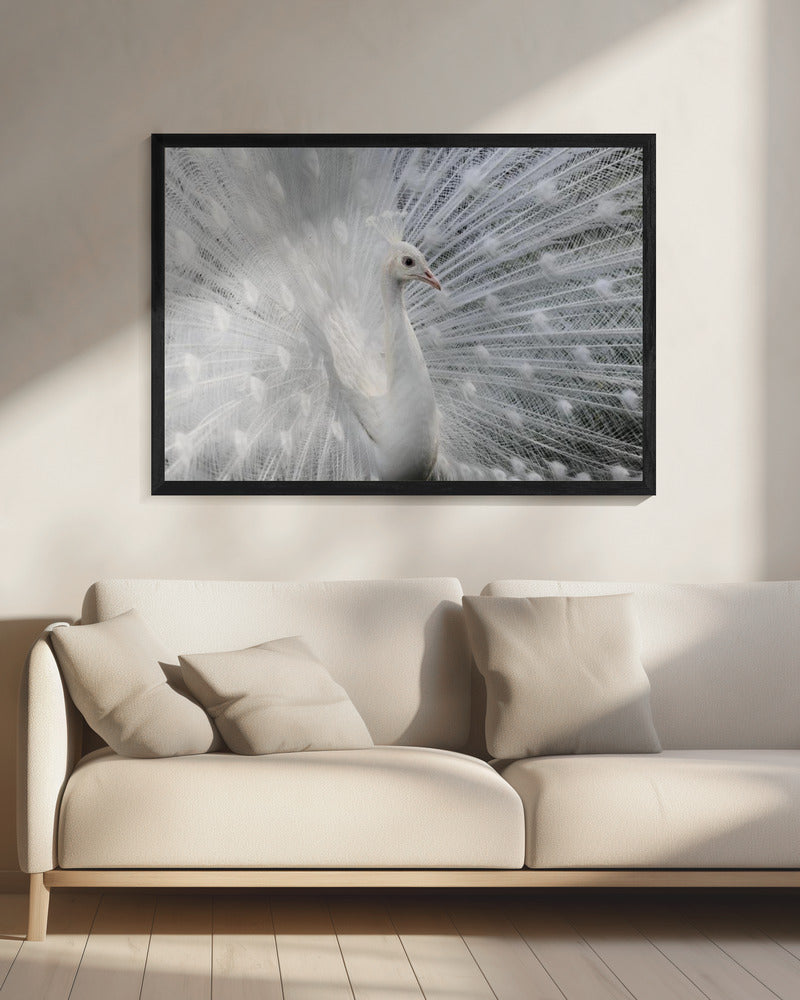 Weiß wie Schnee | Leinwand