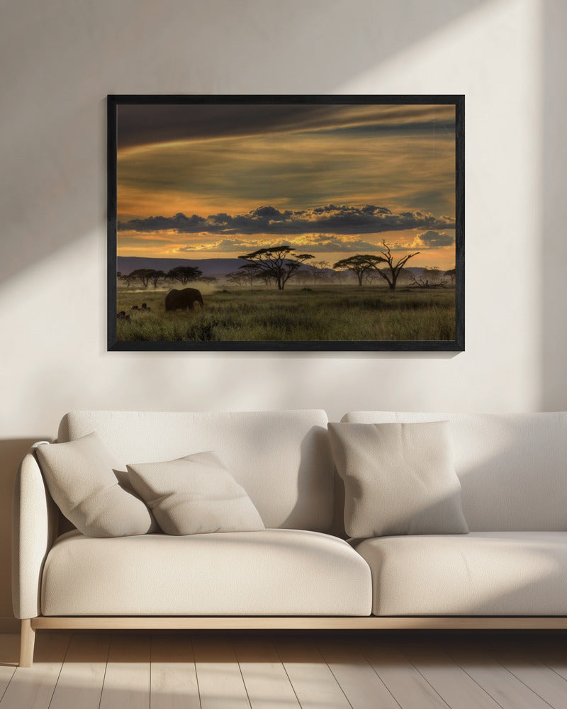 Afrika | Leinwand