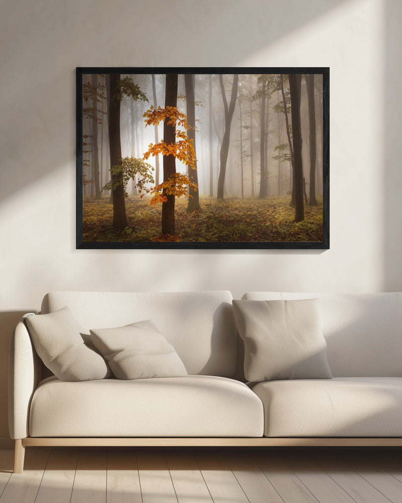 Im Novemberlicht | Leinwand