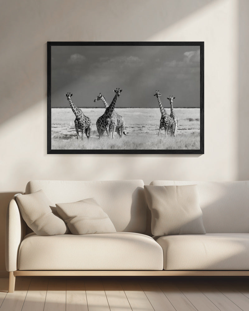 Schau Mädchen Seltsame Tiere | Leinwand