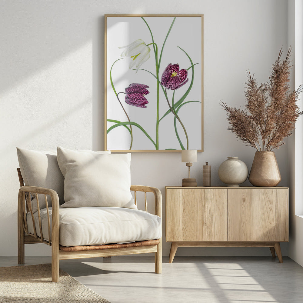 Schachbrettfalter | Poster