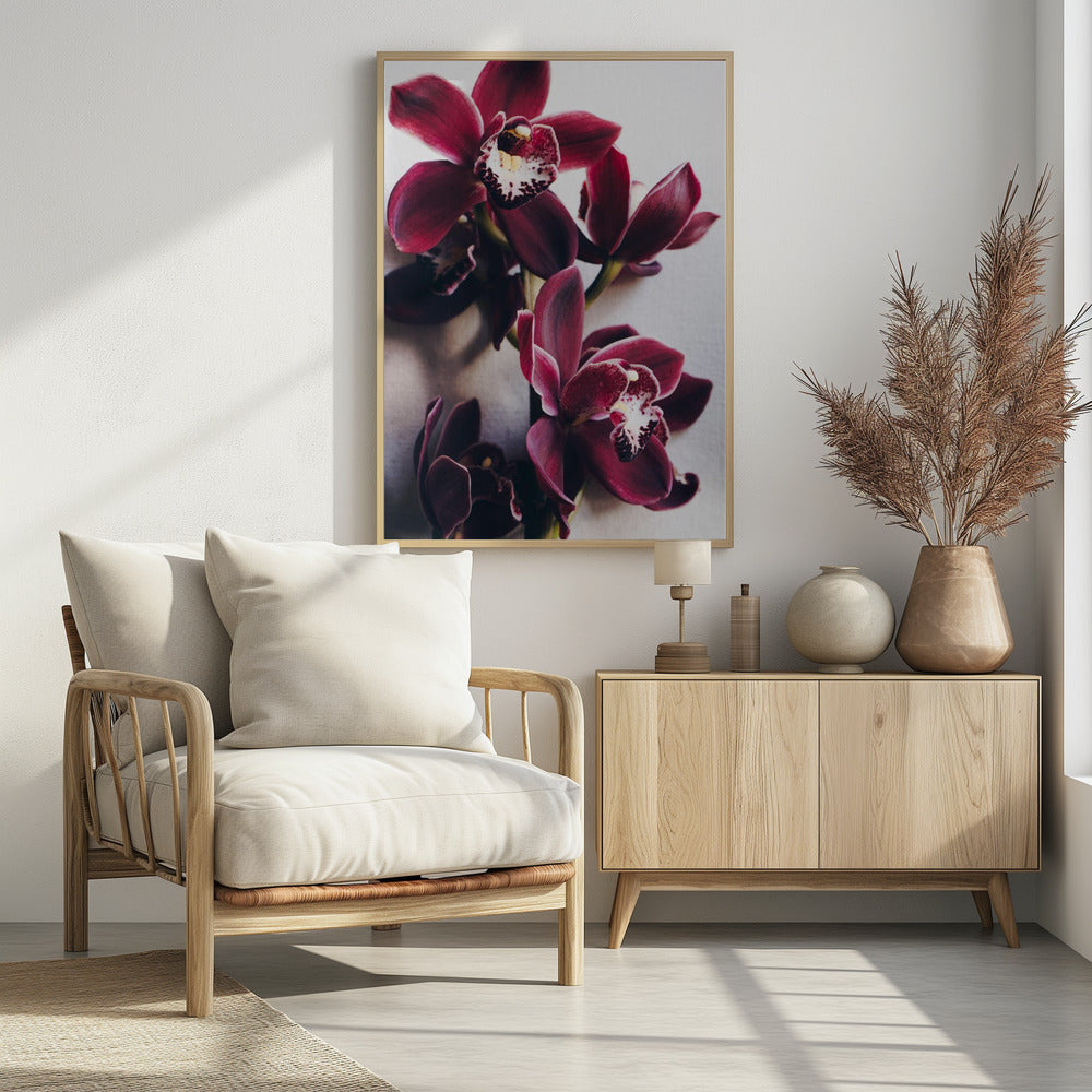 Orchideen-Eleganz | Poster