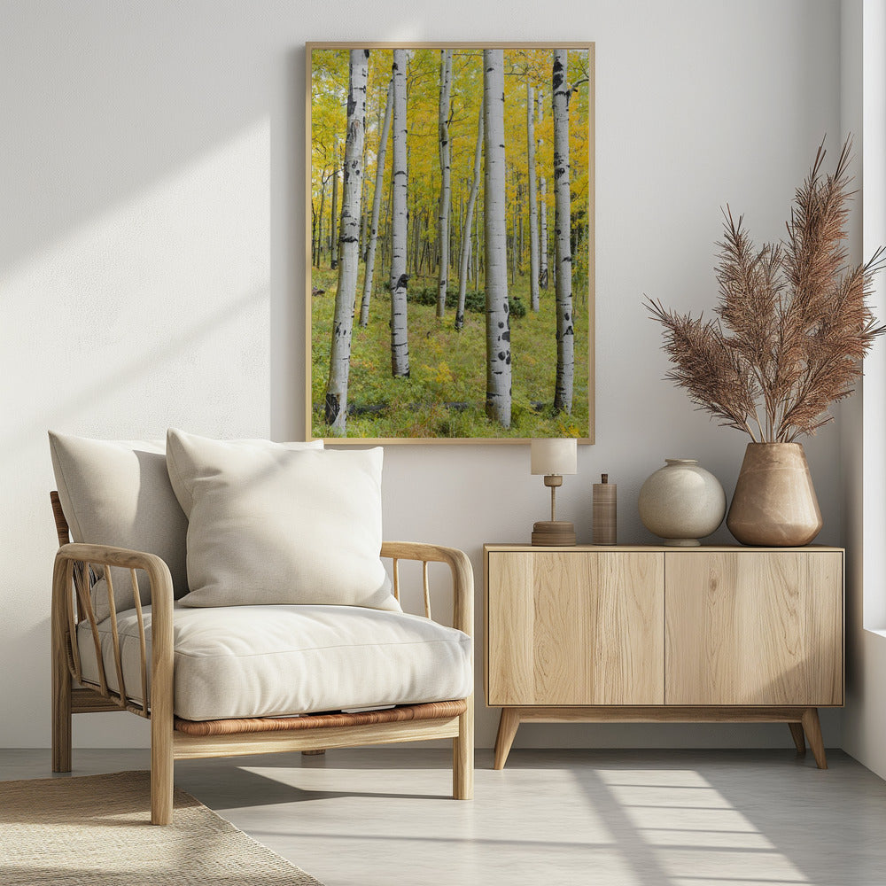 Gelbe Birken vertikal | Poster