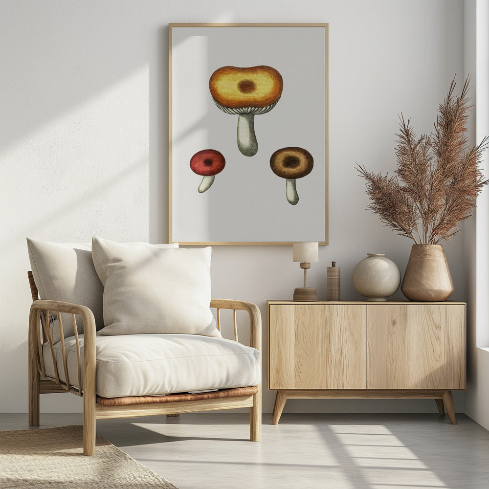 Handgezeichneter Galerina-Pilz | Poster