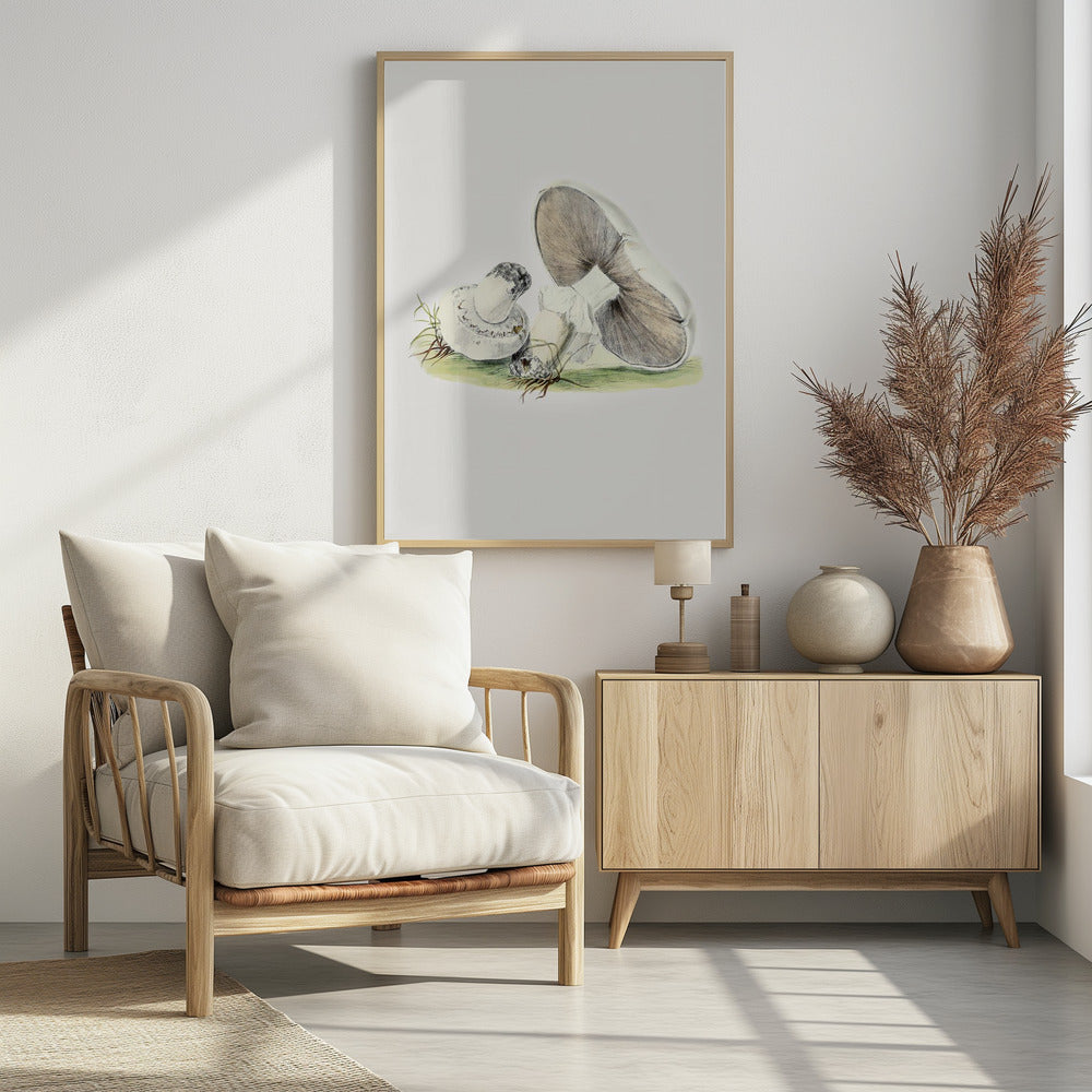 Handgezeichnetes Pferd Pilz stehend | Poster