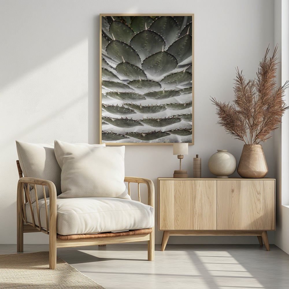 Spiral-Sukkulente | Poster