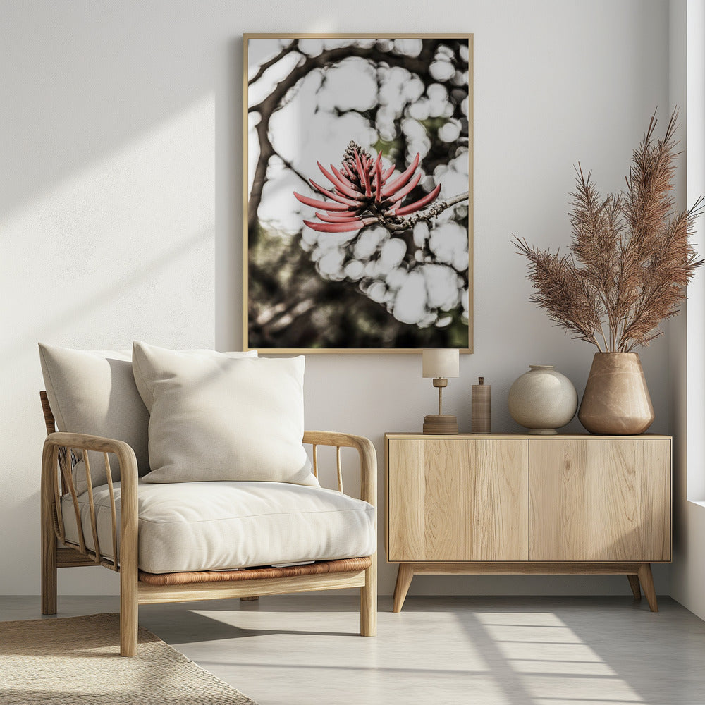 Purpurblüte | Poster