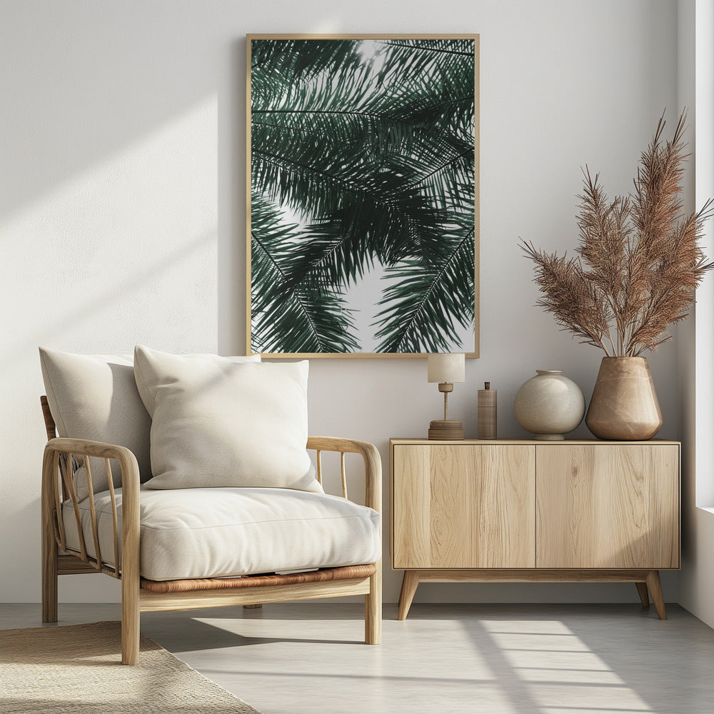 Sonnenbeschienenes Palmendach | Poster