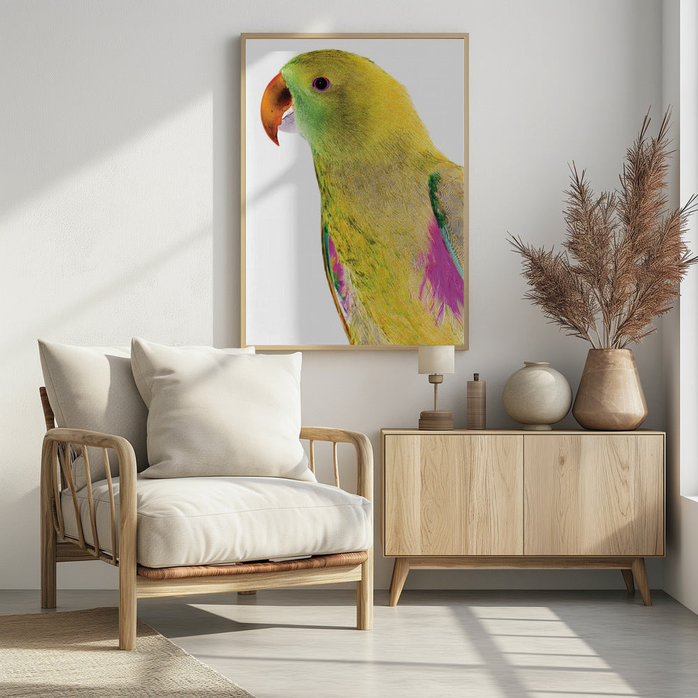 Lebendiges Papageienprofil | Poster