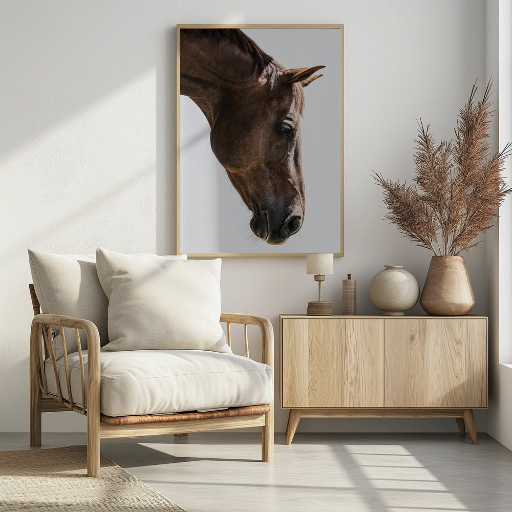 Portrait of a Horse Head | Poster