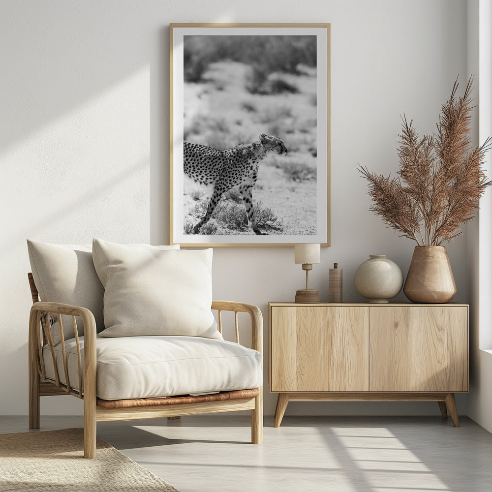 Ein laufender Gepard | Poster