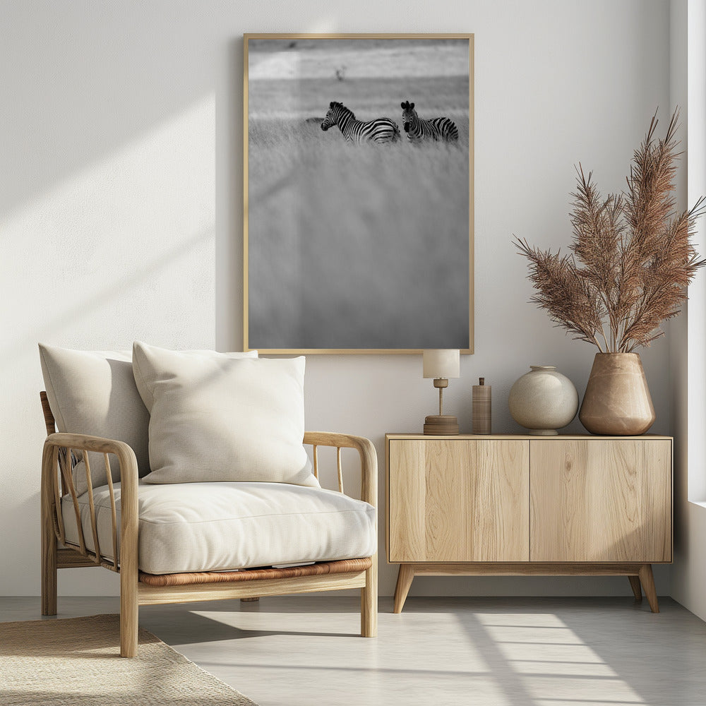 Zebras im Nebel | Poster