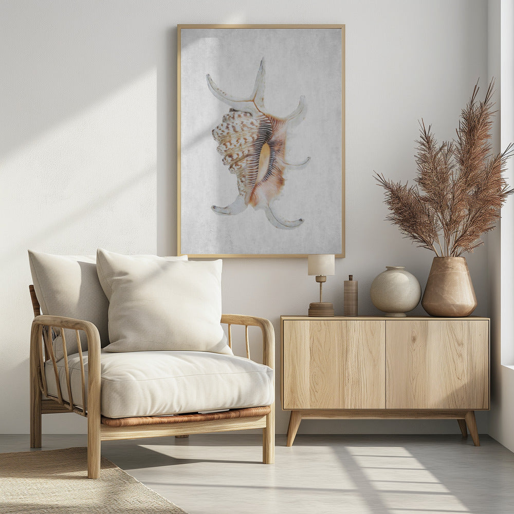 Spiral Seashell | Poster