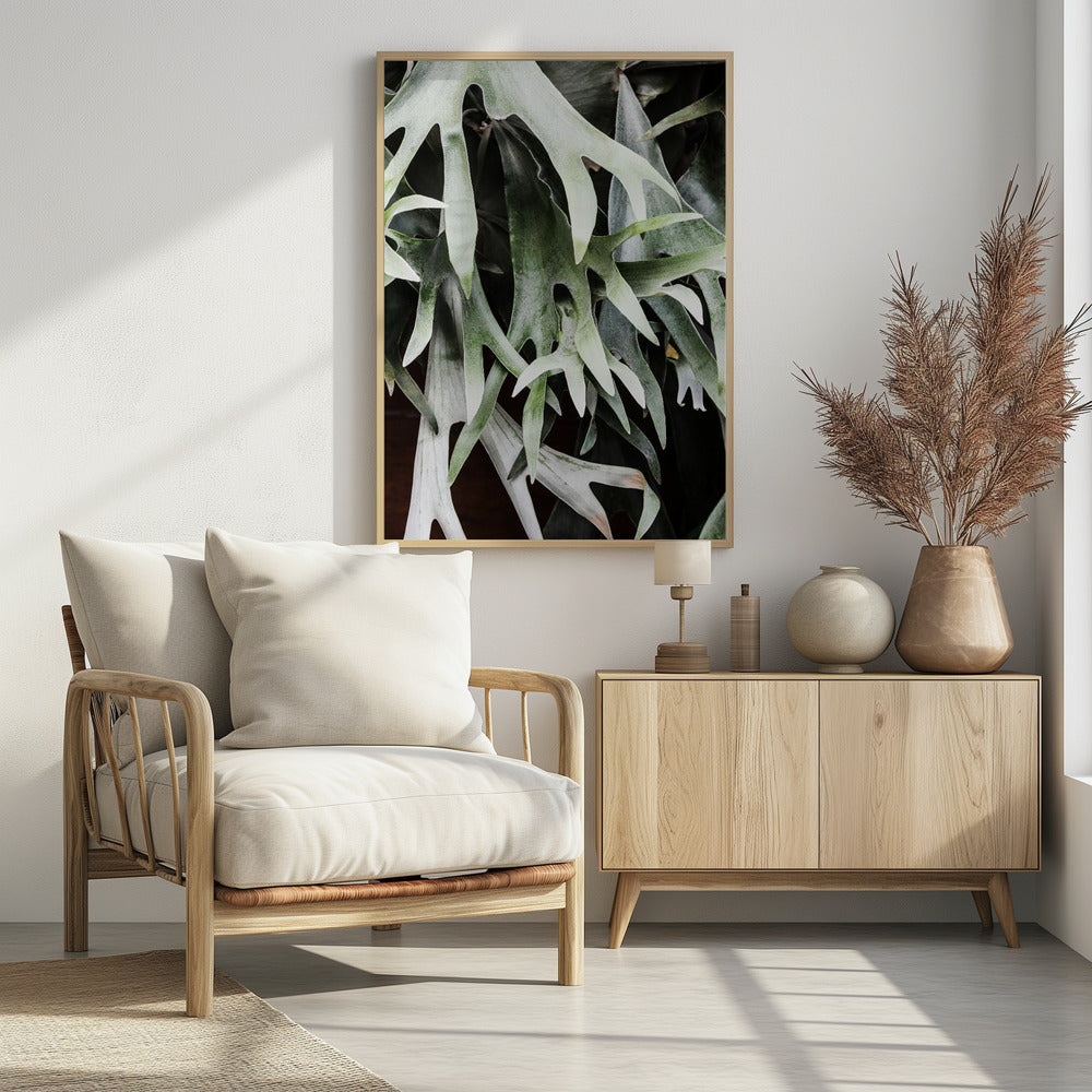Enchanted Fronds | Poster