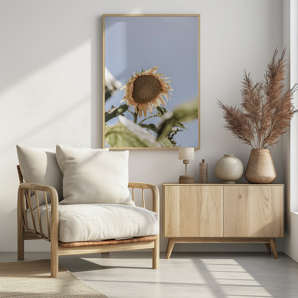 Goldener Blütenhimmel | Poster