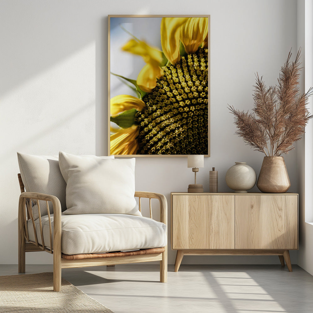 Sunflower Close Up | Poster