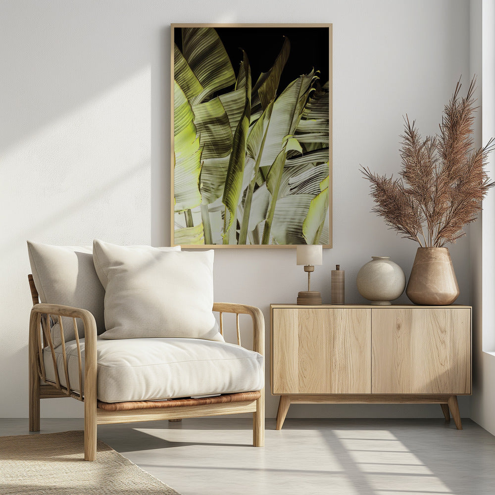 Banana Leaves In Soft Lighting | Poster
