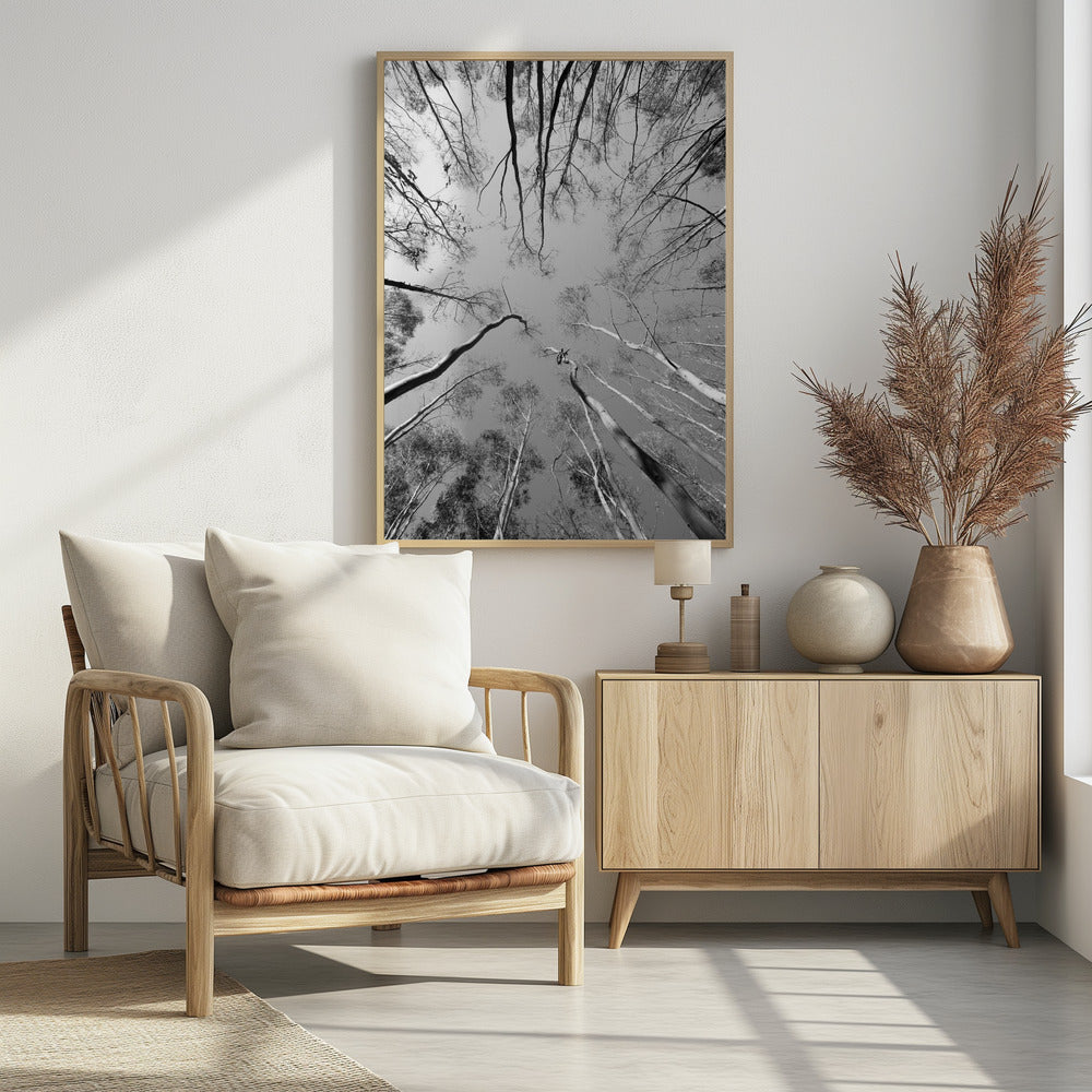 Himmelssinfonie | Poster