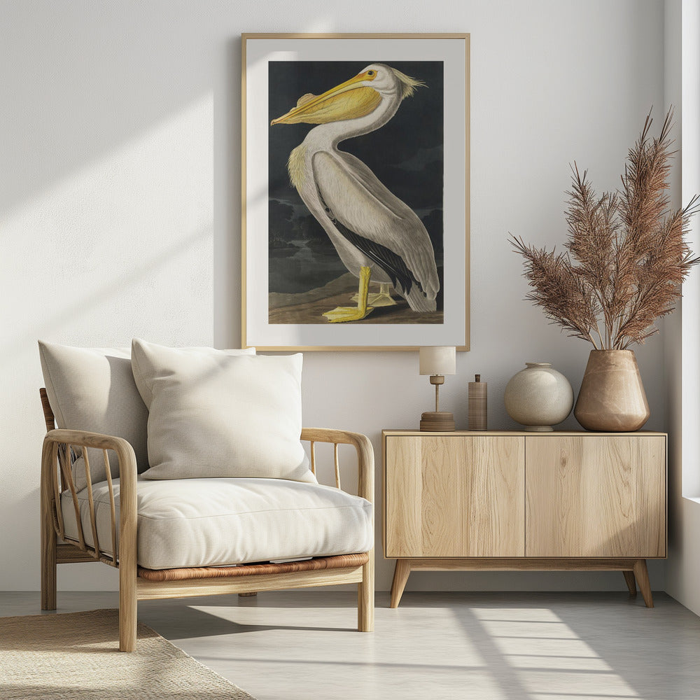 Amerikanischer Weißer Pelikan aus Birds of America (1827) | Poster