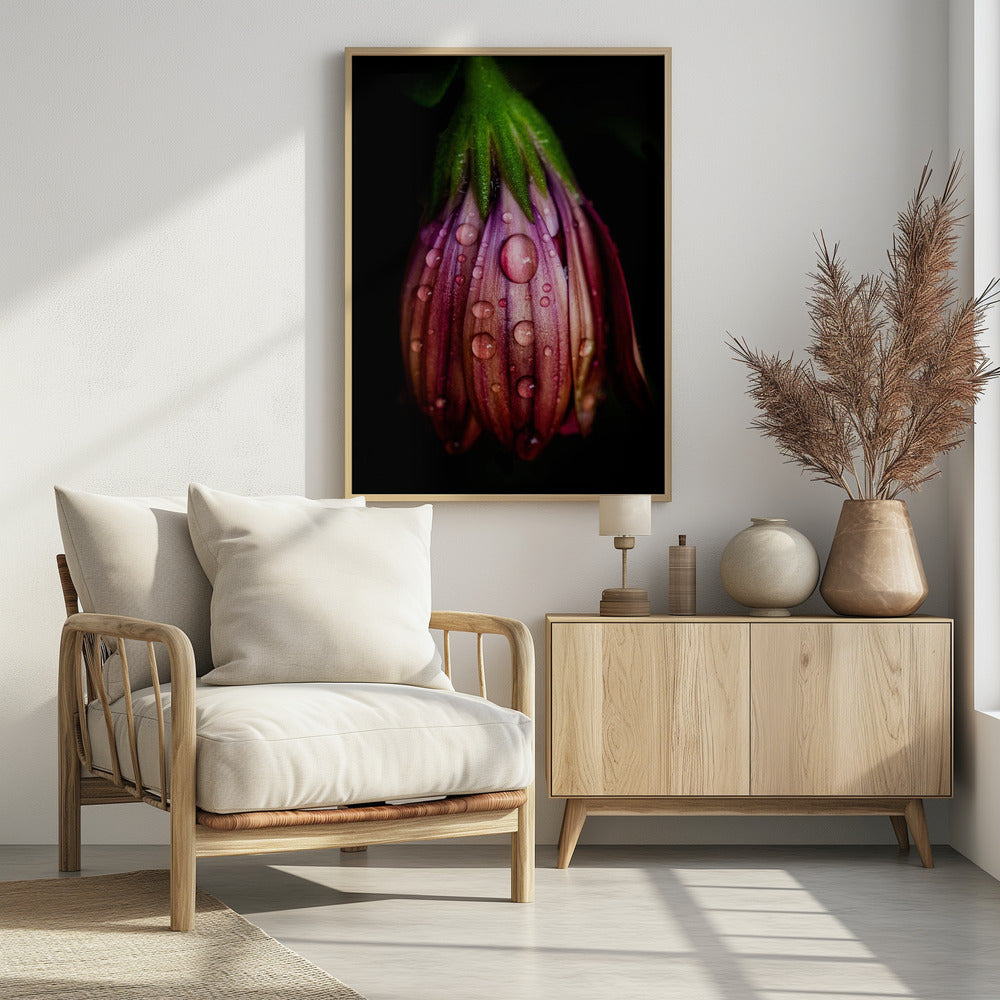Nach dem Regen | Poster