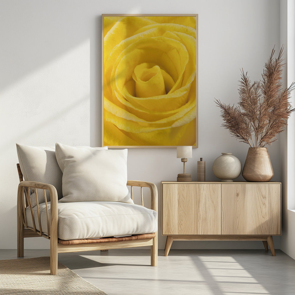 gelbe Rose | Poster