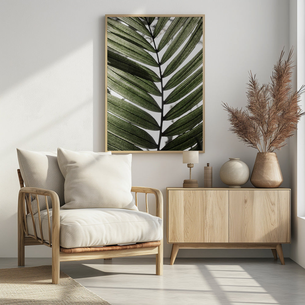 Palm Leaves 24 | Poster