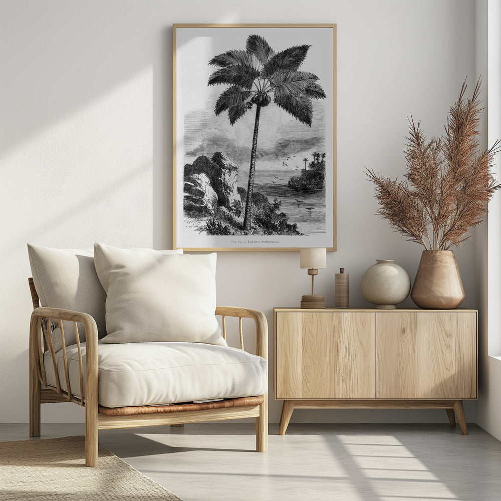Vintage Palmenzeichnung I | Poster