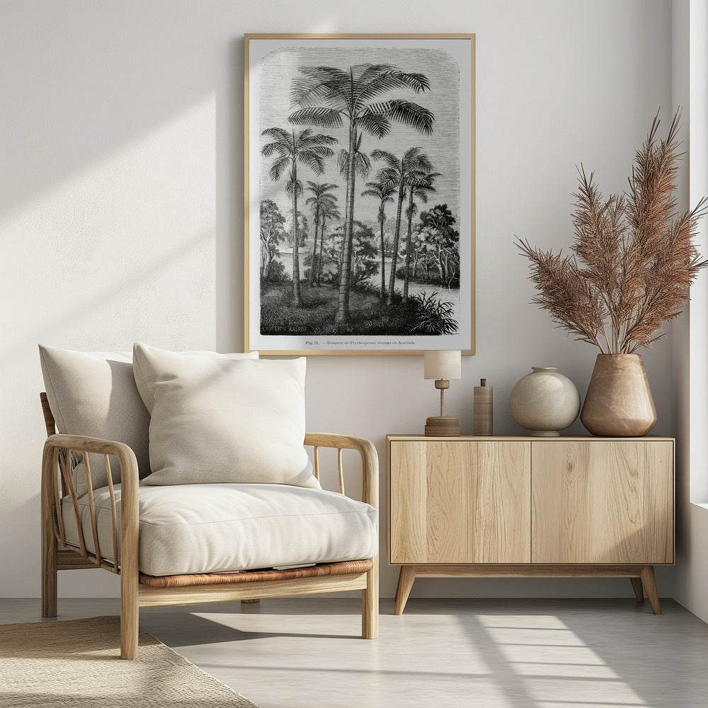 Vintage Palmenzeichnung II | Poster