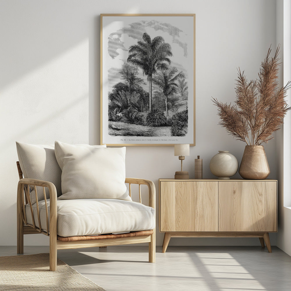 Vintage Palmenzeichnung Vi | Poster