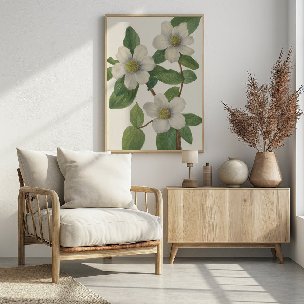 Pacific Dogwood | Poster
