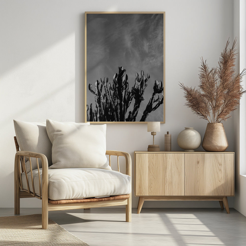 Monochromer Kaktushimmel | Poster