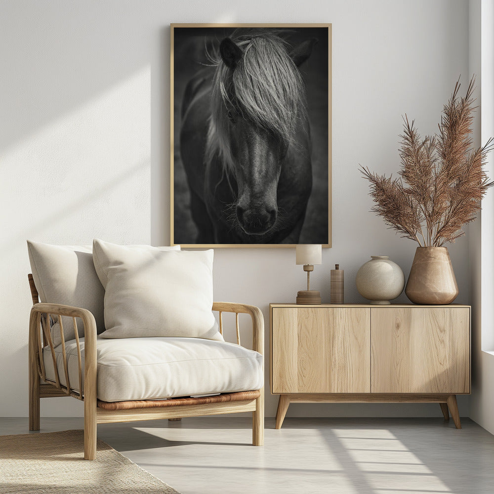 Alpiner Surfer | Poster