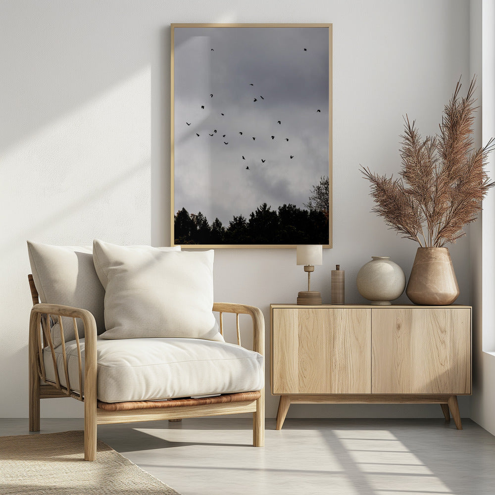 Vögel und Wolken 1 | Poster