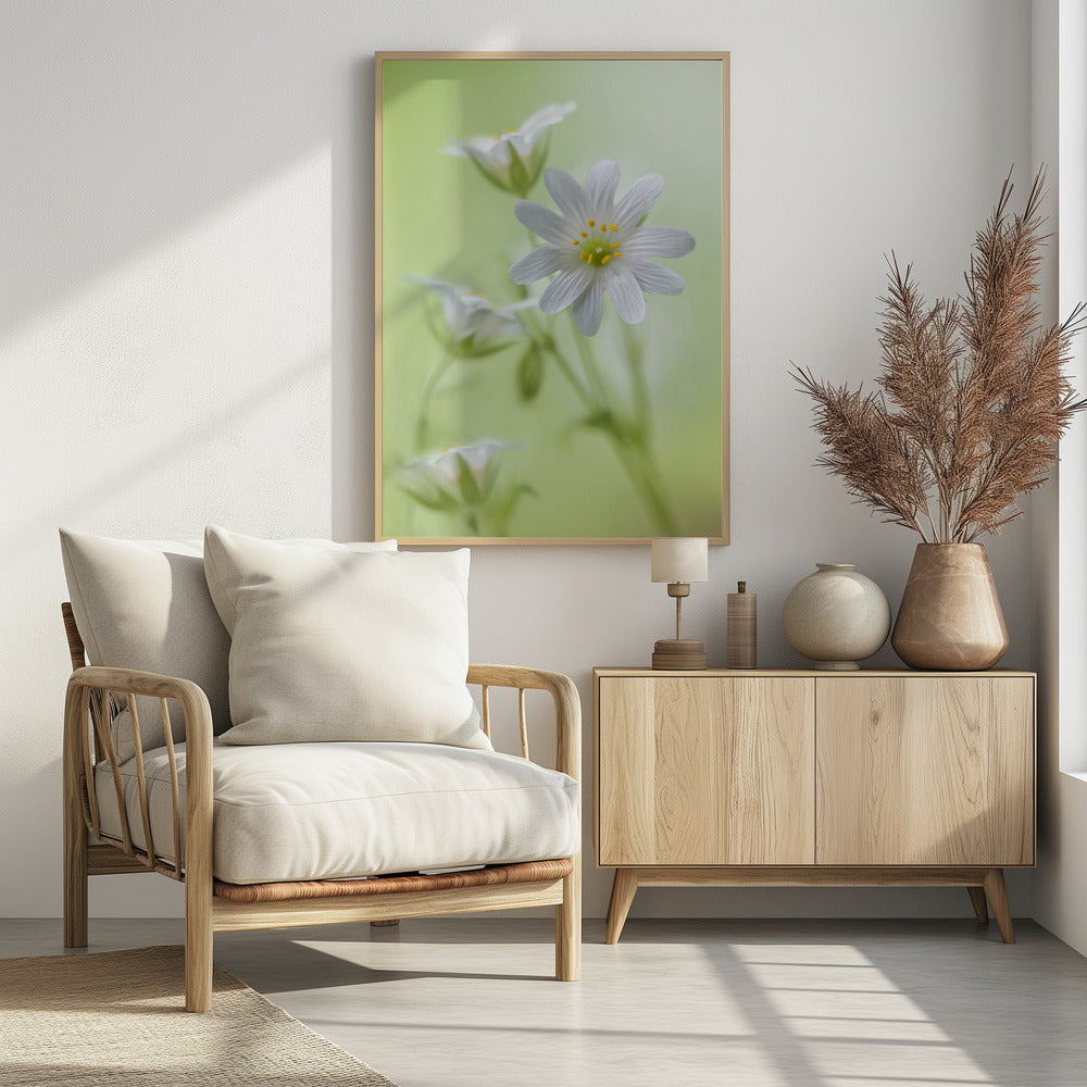 Spring sparkle | Poster