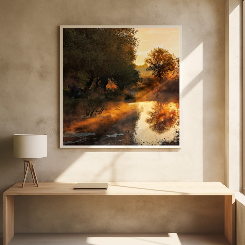 Wenn die Natur mit Licht malt I | Poster