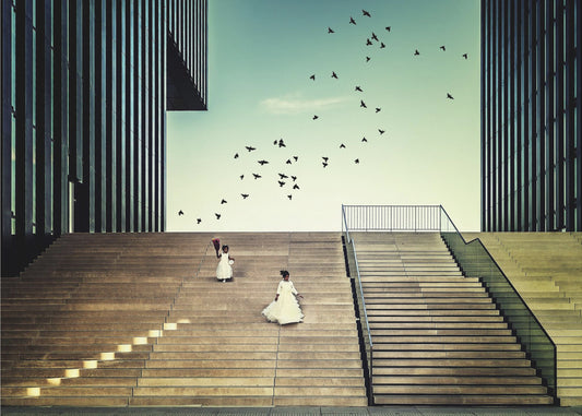 Frei wie ein Vogel... | Leinwand