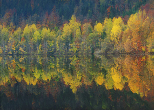Herbstliche Stille | Tapete