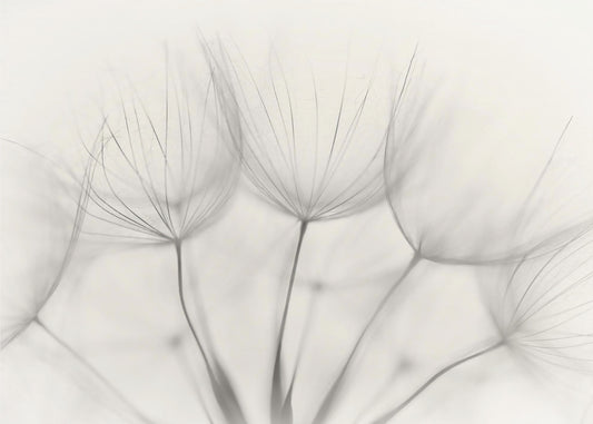No title | Canvas