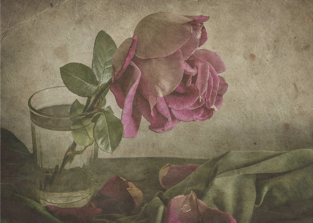 Träne der Rose | Leinwand