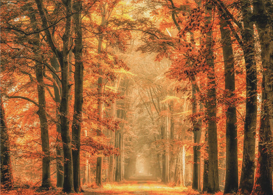 Verlasse das Portal | Hintergrundbild
