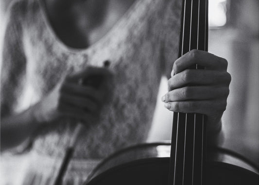 Pause für das Cello | Hintergrundbild