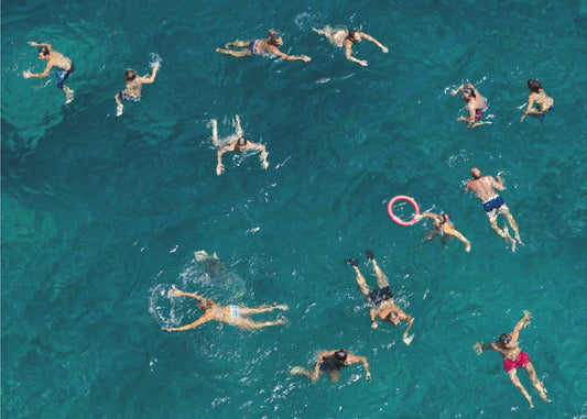 Schwimmen im blauen Wasser | Poster